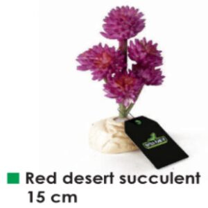 Red desert succulent 15 cm (artificial plant with base)