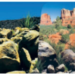 Desert Terrarium Poster 2 sides 1 roll of 15 meters