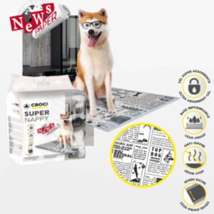 TAPIS EDUCATION NEWSPAPER