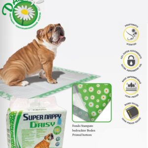 TAPIS EDUCATION DAISY