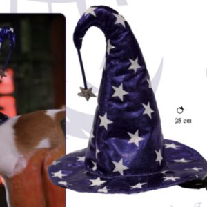 HAT TRICKY WHIZARD D25 CM