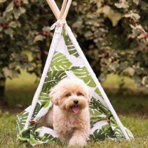 TENDA JUNGLE TEPEE
