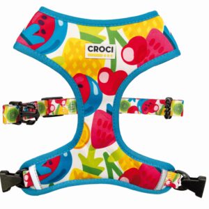 PETTORINA FRUITSHAKE