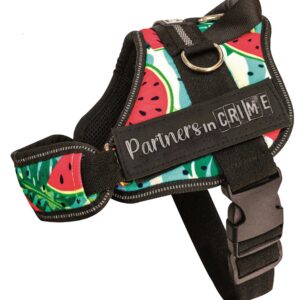 PETTORINA SLICE S 50-60 CM