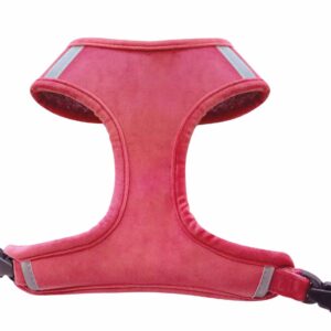HARNAIS PINK VELOUR