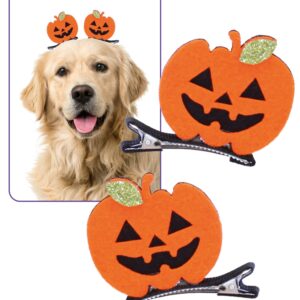 CLIP TRICKY PUMPKING 2 PCS