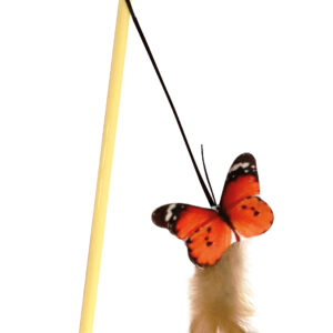 CANNE DE CHAT PAPILLON 41 CM
