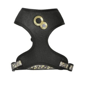 PACK CHAT HARNAIS T-SHIRT + LAISSE CHAMANENOIR