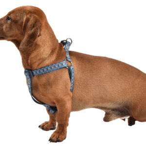 HARNAIS BAUDRIER GEISHA