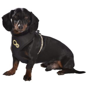 HARNAIS T-SHIRT CHAMANE