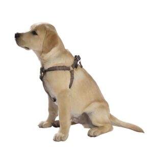 HARNAIS BAUDRIER SAFE