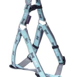 HARNAIS BAUDRIER KYRIELLE