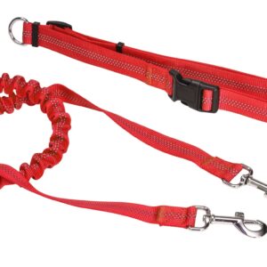 CEINTURE + LAISSE RUNNING