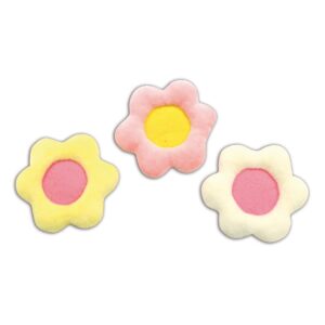 JEU POUR CHAT FLOWERS 7CM 2 PZ