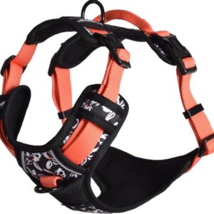 Harnais chien "MONOI"