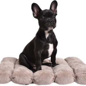 MATELAS CHAT FEATHER CHOCO