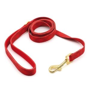 LAISSE XMAS FESTIVE 2X150 CM - SAISON 24-25