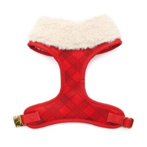 HARNAIS XMAS FESTIVE - SAISON 24-25