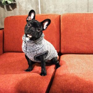 PULL COCOON NOIR- SAISON 24-25