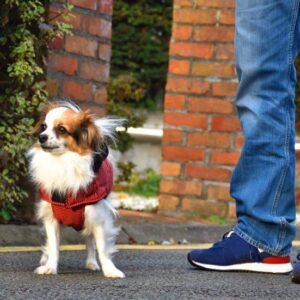 DOUDOUNE RAYE - SAISON 24-25