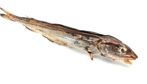 NIKI NAT.BARF Poisson Merlan 1pc /15-20cm